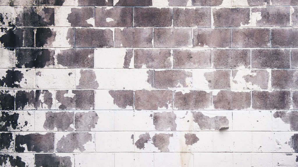 Exploring the Raw Beauty: A Dive into Grunge Art